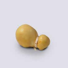 Carica l&#39;immagine nel visualizzatore di Gallery, PITTA &amp; SPIANATA
